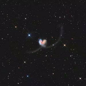 国产h视频在线观看
